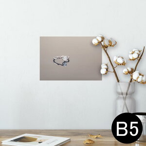 |X^[ EH[XebJ[ V[XebJ[  182×257mm B5 ʐ^ tHg  CeA   wall sticker poster 025750 wց@WG[@t@bV