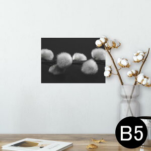 |X^[ EH[XebJ[ V[XebJ[  182×257mm B5 ʐ^ tHg  CeA   wall sticker poster 025761 A@R@ԁ@