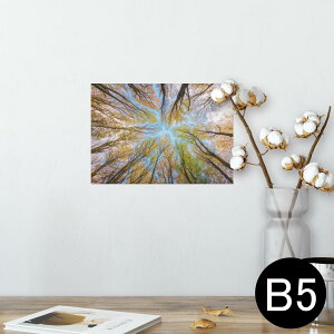 |X^[ EH[XebJ[ V[XebJ[  182×257mm B5 ʐ^ tHg  CeA   wall sticker poster 025927 Xс@؁@R