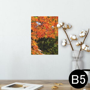 |X^[ EH[XebJ[ V[XebJ[  182×257mm B5 ʐ^ tHg  CeA  @ wall sticker poster 004615 gt@H@i