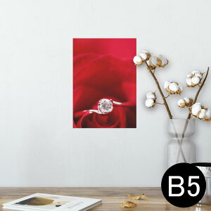 |X^[ EH[XebJ[ V[XebJ[  182×257mm B5 ʐ^ tHg  CeA  @ wall sticker poster 005136 ԁ@wց@KN