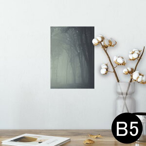 |X^[ EH[XebJ[ V[XebJ[  182×257mm B5 ʐ^ tHg  CeA  @ wall sticker poster 005899 ʐ^@X@