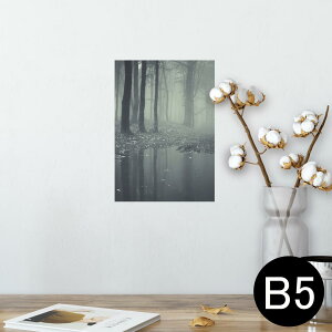 |X^[ EH[XebJ[ V[XebJ[  182×257mm B5 ʐ^ tHg  CeA  @ wall sticker poster 005900 ʐ^@X@