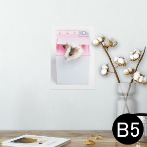 |X^[ EH[XebJ[ V[XebJ[  182×257mm B5 ʐ^ tHg  CeA  @ wall sticker poster 006501 ʐ^@nX^[@
