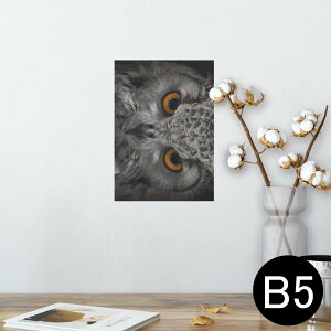 |X^[ EH[XebJ[ V[XebJ[  182×257mm B5 ʐ^ tHg  CeA  @ wall sticker poster 007937 ʐ^@tNE@@ubN