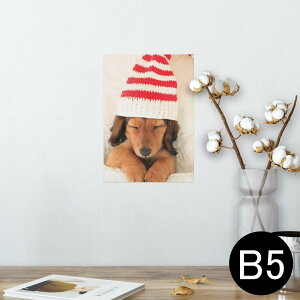 |X^[ EH[XebJ[ V[XebJ[  182×257mm B5 ʐ^ tHg  CeA  @ wall sticker poster 008439 ʐ^@@Xq@ԁ@bh