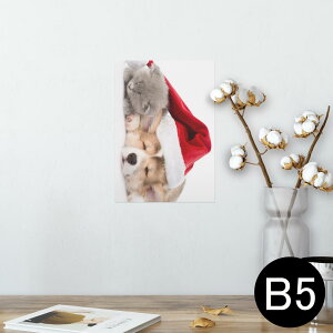 |X^[ EH[XebJ[ V[XebJ[  182×257mm B5 ʐ^ tHg  CeA  @ wall sticker poster 008645 @L@Xq@ʐ^