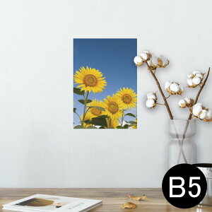 |X^[ EH[XebJ[ V[XebJ[  182×257mm B5 ʐ^ tHg  CeA  @ wall sticker poster 009265 t[@Ђ܂@ʐ^