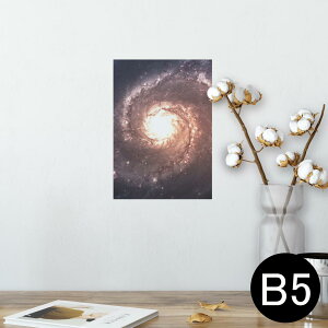 |X^[ EH[XebJ[ V[XebJ[  182×257mm B5 ʐ^ tHg  CeA  @ wall sticker poster 010185 @F@i