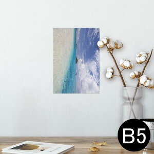 |X^[ EH[XebJ[ V[XebJ[  182×257mm B5 ʐ^ tHg  CeA  @ wall sticker poster 011230 C@r[`@][g