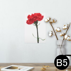 |X^[ EH[XebJ[ V[XebJ[  182×257mm B5 ʐ^ tHg  CeA  @ wall sticker poster 012928 ̓@J[l[V@