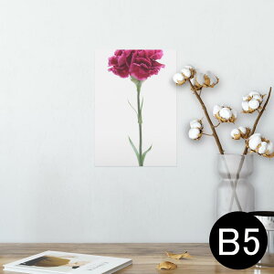 |X^[ EH[XebJ[ V[XebJ[  182×257mm B5 ʐ^ tHg  CeA  @ wall sticker poster 012933 ̓@J[l[V@