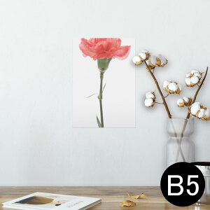 |X^[ EH[XebJ[ V[XebJ[  182×257mm B5 ʐ^ tHg  CeA  @ wall sticker poster 012935 ̓@J[l[V@