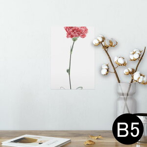 |X^[ EH[XebJ[ V[XebJ[  182×257mm B5 ʐ^ tHg  CeA  @ wall sticker poster 012937 ̓@J[l[V@