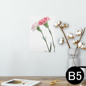 |X^[ EH[XebJ[ V[XebJ[  182×257mm B5 ʐ^ tHg  CeA  @ wall sticker poster 012938 ̓@J[l[V@
