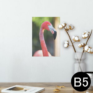 |X^[ EH[XebJ[ V[XebJ[  182×257mm B5 ʐ^ tHg  CeA  @ wall sticker poster 014986 i@ʐ^@@t~S@