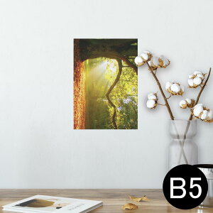 |X^[ EH[XebJ[ V[XebJ[  182×257mm B5 ʐ^ tHg  CeA  @ wall sticker poster 014991 iF@R@i@ʐ^@؁@
