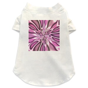 pTVc Iׂ5size ^   zCg fUC T shirt XS S M L XL ybgEFA ybg JWA  Rbg  ̑ ؋@sN 000091