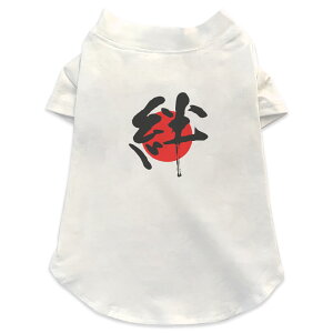 pTVc Iׂ5size ^   zCg fUC T shirt XS S M L XL ybgEFA ybg JWA  Rbg  {Ea ̑ {@J@̊ 000170