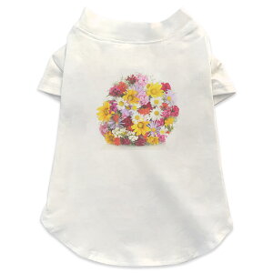 pTVc Iׂ5size ^   zCg fUC T shirt XS S M L XL ybgEFA ybg JWA  Rbg  t[ ԁ@ԑ 000937