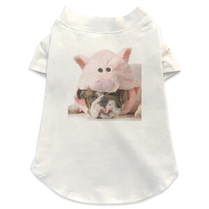 pTVc Iׂ5size ^   zCg fUC T shirt XS S M L XL ybgEFA ybg JWA  Rbg  Aj} @u^@ 001228