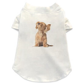 犬専用Tシャツ 選べる5size 小型犬 袖あり 半袖 ホワイト デザイン T shirt XS S M L XL ペットウェア ペット服 カジュアル おしゃれ コットン 綿 アニマル 犬　ダックスフント　動物 001245