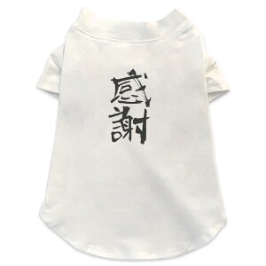 pTVc Iׂ5size ^   zCg fUC T shirt XS S M L XL ybgEFA ybg JWA  Rbg  {Ea {@ 001656