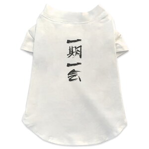 pTVc Iׂ5size ^   zCg fUC T shirt XS S M L XL ybgEFA ybg JWA  Rbg  {Ea {@ 001660