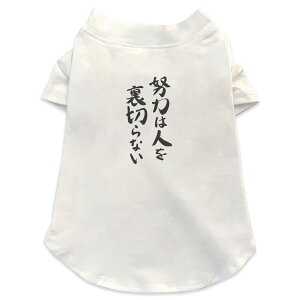 pTVc Iׂ5size ^   zCg fUC T shirt XS S M L XL ybgEFA ybg JWA  Rbg  {Ea {@ 001664