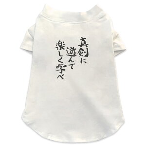 pTVc Iׂ5size ^   zCg fUC T shirt XS S M L XL ybgEFA ybg JWA  Rbg  {Ea @ 002322