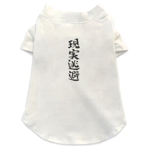 pTVc Iׂ5size ^   zCg fUC T shirt XS S M L XL ybgEFA ybg JWA  Rbg  {Ea @ 002327