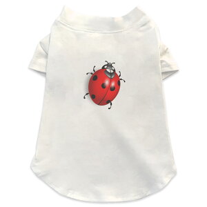 pTVc Iׂ5size ^   zCg fUC T shirt XS S M L XL ybgEFA ybg JWA  Rbg  j[N ĂƂ@CXg 002357