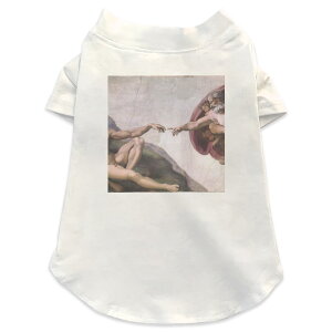 pTVc Iׂ5size ^   zCg fUC T shirt XS S M L XL ybgEFA ybg JWA  Rbg  ʐ^Ei ̑ N[ l@G@CXg 003