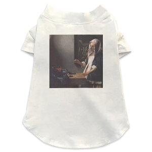 pTVc Iׂ5size ^   zCg fUC T shirt XS S M L XL ybgEFA ybg JWA  Rbg  ʐ^Ei N[ ̑ l@G@CXg 003