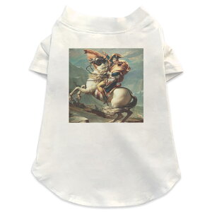 pTVc Iׂ5size ^   zCg fUC T shirt XS S M L XL ybgEFA ybg JWA  Rbg  N[ ʐ^Ei ̑ l@G@CXg 003