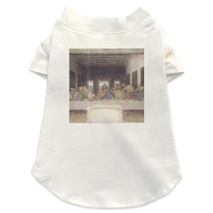 pTVc Iׂ5size ^   zCg fUC T shirt XS S M L XL ybgEFA ybg JWA  Rbg  N[ ʐ^Ei l@G@CXg 003227