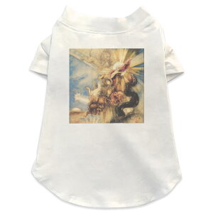 pTVc Iׂ5size ^   zCg fUC T shirt XS S M L XL ybgEFA ybg JWA  Rbg  ʐ^Ei N[ @G@CXg 003234