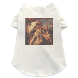 pTVc Iׂ5size ^   zCg fUC T shirt XS S M L XL ybgEFA ybg JWA  Rbg  ʐ^Ei N[ l@G@CXg 003235