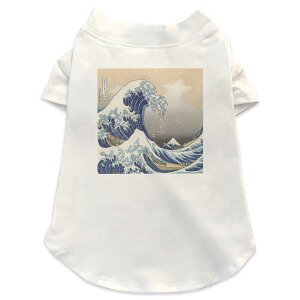 pTVc Iׂ5size ^   zCg fUC T shirt XS S M L XL ybgEFA ybg JWA  Rbg  ʐ^Ei N[ a@a@C 003250
