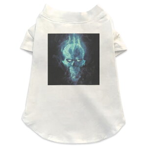 pTVc Iׂ5size ^   zCg fUC T shirt XS S M L XL ybgEFA ybg JWA  Rbg  ̑ N[ hN@[@Vv 003422