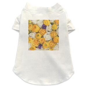 ����pT�V���c �I�ׂ�5size ���^�� ������ ���� �z���C�g �f�U�C�� T shirt XS S M L XL �y�b�g�E�F�A �y�b�g�� �J�W���A�� ������� �R�b�g�� �� �t�����[ �ʐ^�E���i ���F�@���@���@�ԁ@�t�����[ 0