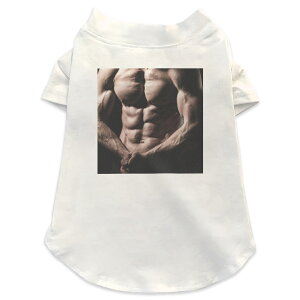 pTVc Iׂ5size ^   zCg fUC T shirt XS S M L XL ybgEFA ybg JWA  Rbg  ̑ ʐ^@l@ؓ 005776