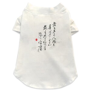 pTVc Iׂ5size ^   zCg fUC T shirt XS S M L XL ybgEFA ybg JWA  Rbg  {Ea {@@t@ 007482