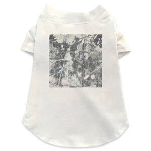 ����pT�V���c �I�ׂ�5size ���^�� ������ ���� �z���C�g �f�U�C�� T shirt XS S M L XL �y�b�g�E�F�A �y�b�g�� �J�W���A�� ������� �R�b�g�� �� �N�[�� �C���N�@�y���L�@�ʐ^�@���@�z���C�g 008415