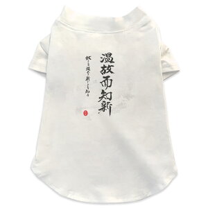 pTVc Iׂ5size ^   zCg fUC T shirt XS S M L XL ybgEFA ybg JWA  Rbg  {Ea @@ 008539