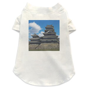 pTVc Iׂ5size ^   zCg fUC T shirt XS S M L XL ybgEFA ybg JWA  Rbg  {Ea ʐ^Ei ʐ^@@@@u