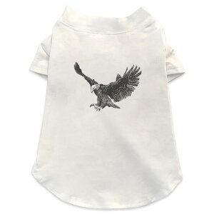 pTVc Iׂ5size ^   zCg fUC T shirt XS S M L XL ybgEFA ybg JWA  Rbg  @a@a 009728