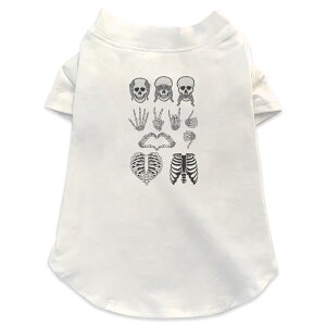 pTVc Iׂ5size ^   zCg fUC T shirt XS S M L XL ybgEFA ybg JWA  Rbg  hN@[@n[g 009795