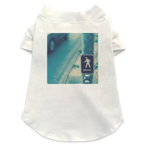 pTVc Iׂ5size ^   zCg fUC T shirt XS S M L XL ybgEFA ybg JWA  Rbg  W@l@ 010586