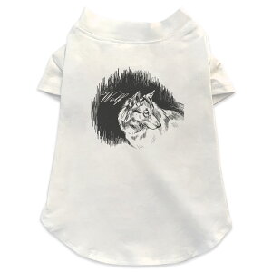 ����pT�V���c �I�ׂ�5size ���^�� ������ ���� �z���C�g �f�U�C�� T shirt XS S M L XL �y�b�g�E�F�A �y�b�g�� �J�W���A�� ������� �R�b�g�� �� �����@�A�j�}���@�I�I�J�~ 011450